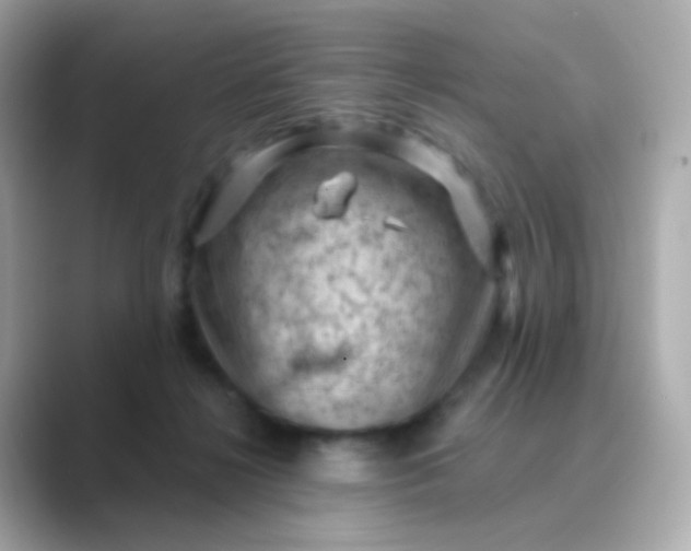 X0000088830268200706211820