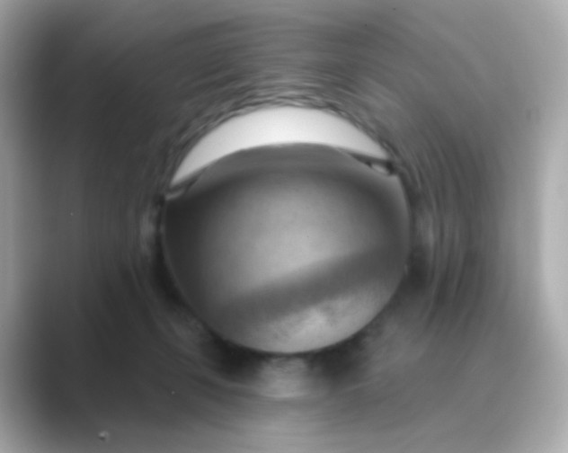 X0000088830271200706211820