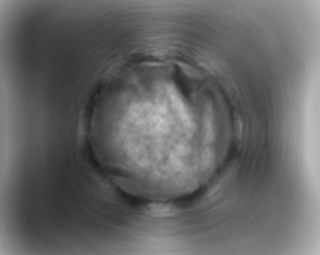 X0000088830272200706211820