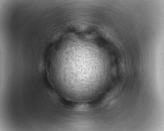 X0000088830274200706211820