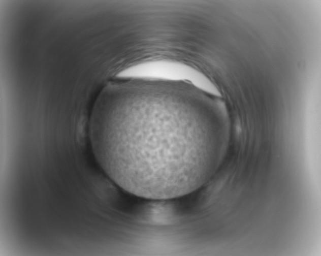 X0000088830275200706211820