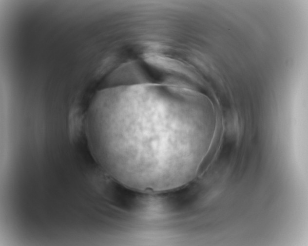 X0000088830276200706211820