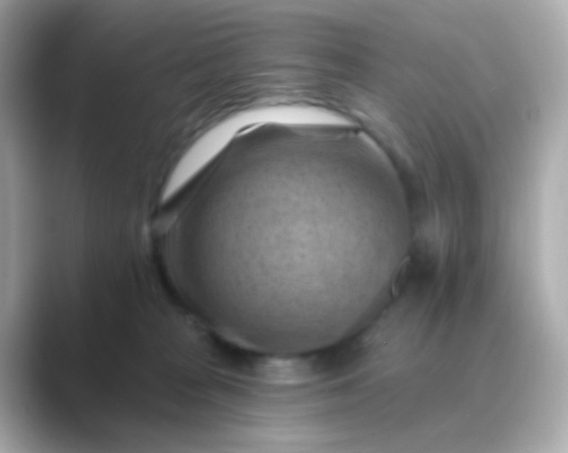 X0000088830277200706211820