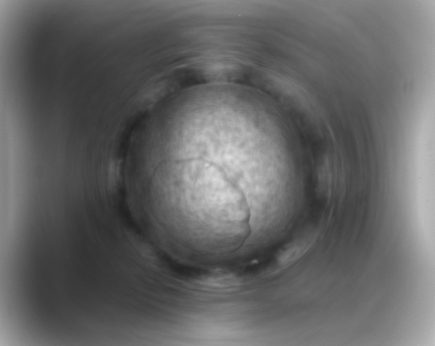 X0000088830278200706211820