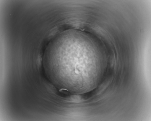 X0000088830279200706211820