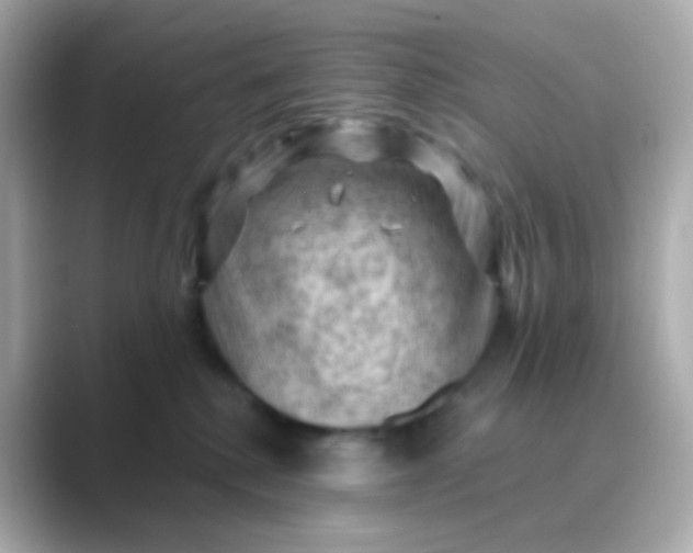 X0000088830280200706211820