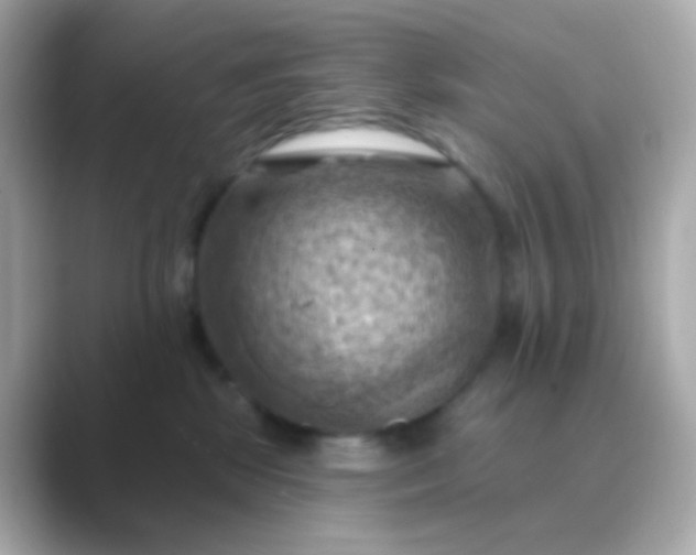 X0000088830281200706211820