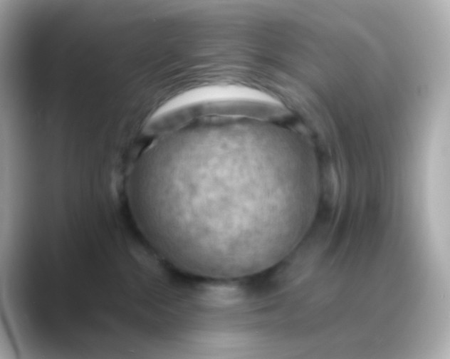 X0000088830284200706211820