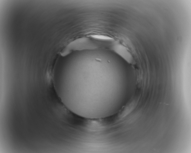 X0000088830285200706211820