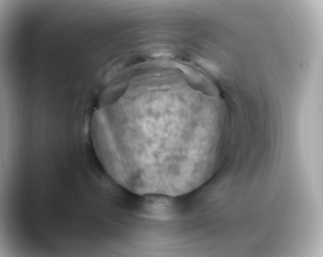 X0000088830288200706211820