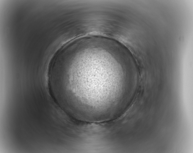 X0000088830290200706211820