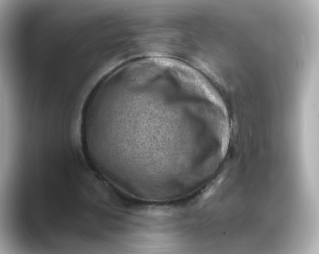 X0000088830292200706211820