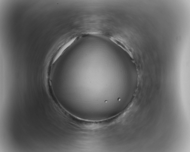 X0000088830293200706211820