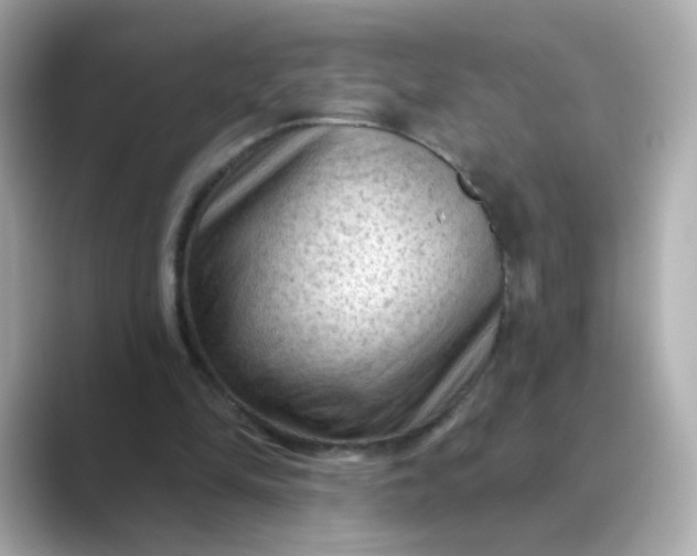 X0000088830294200706211820