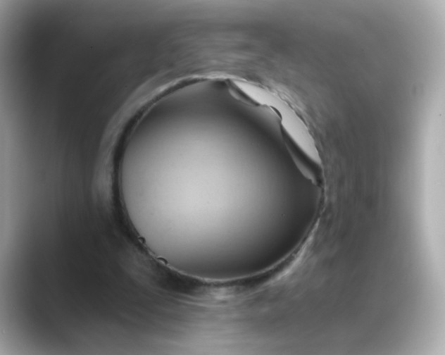 X0000088830295200706211819