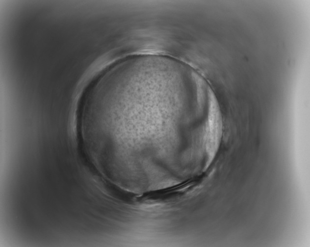 X0000088830296200706211819