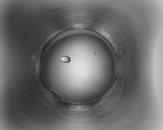 X0000088830297200706211819