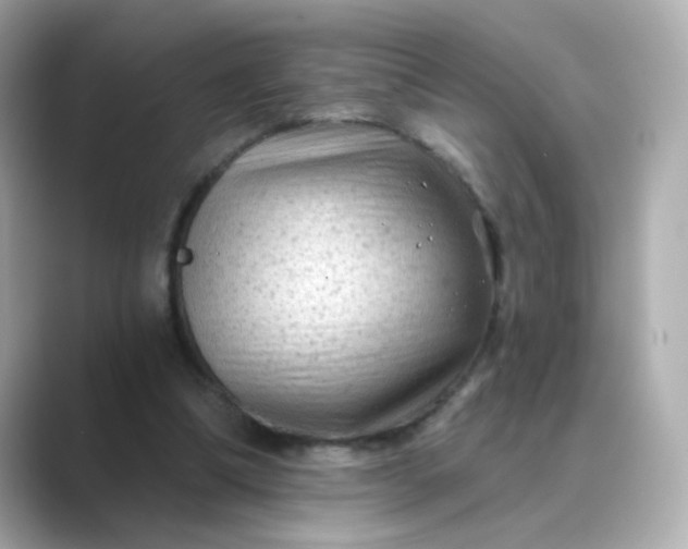 X0000088830298200706211819