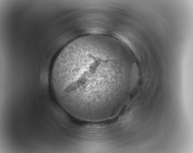 X0000088830299200706211819