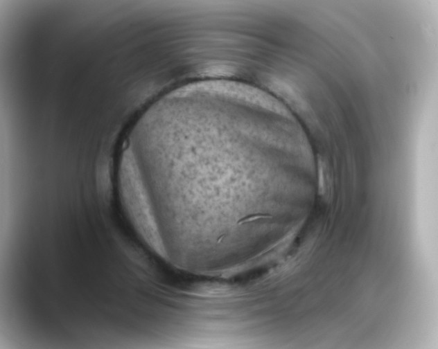 X0000088830300200706211819