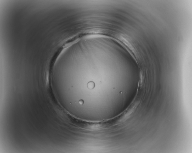 X0000088830301200706211819