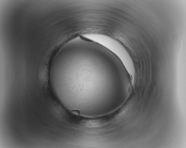 X0000088830303200706211819