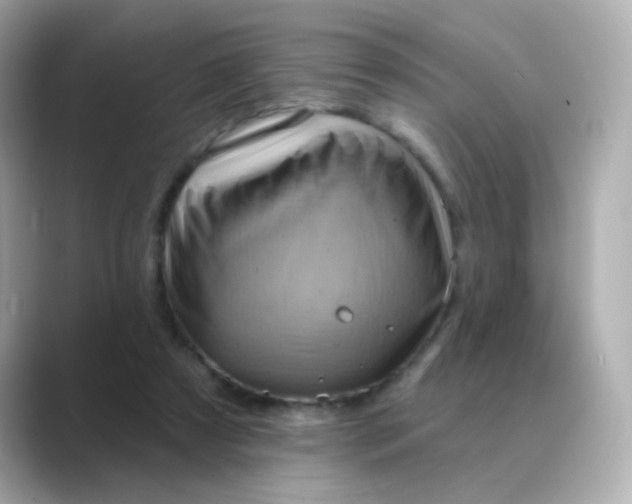 X0000088830305200706211819