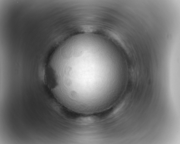 X0000088830307200706211819