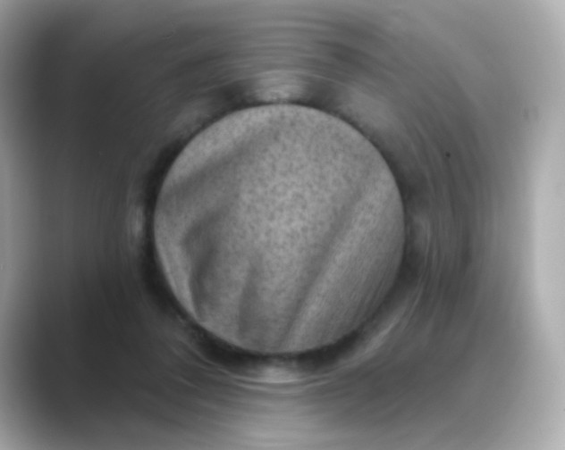 X0000088830308200706211819