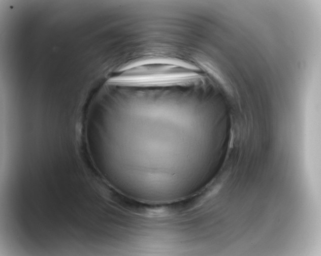 X0000088830309200706211819