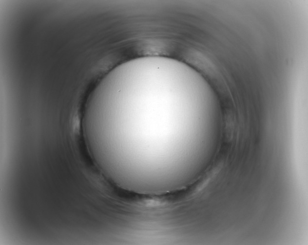 X0000088830310200706211819