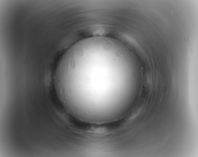 X0000088830311200706211819