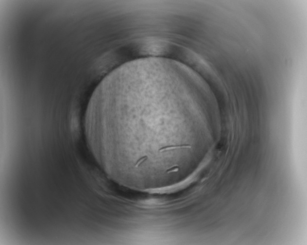 X0000088830312200706211819