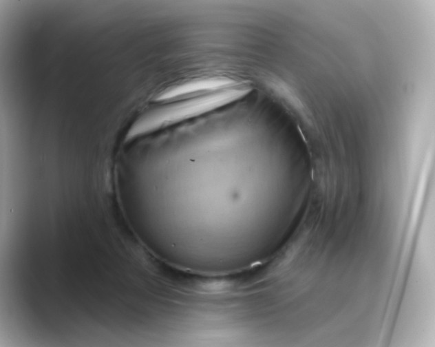 X0000088830313200706211819