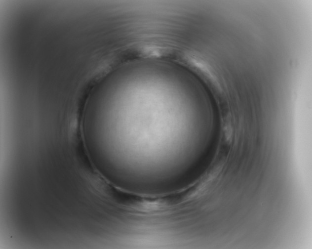 X0000088830314200706211819