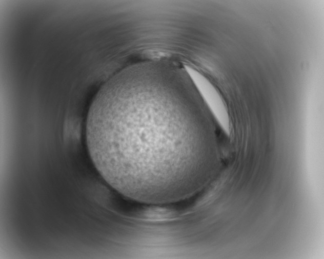 X0000088830315200706211819