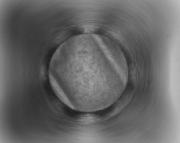 X0000088830316200706211819