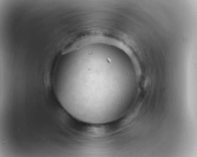 X0000088830317200706211819