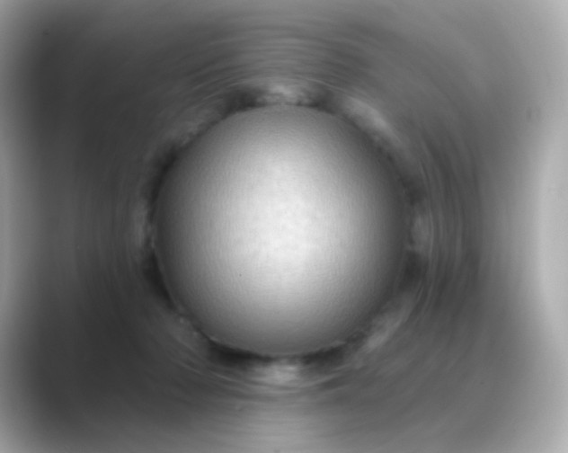 X0000088830318200706211819