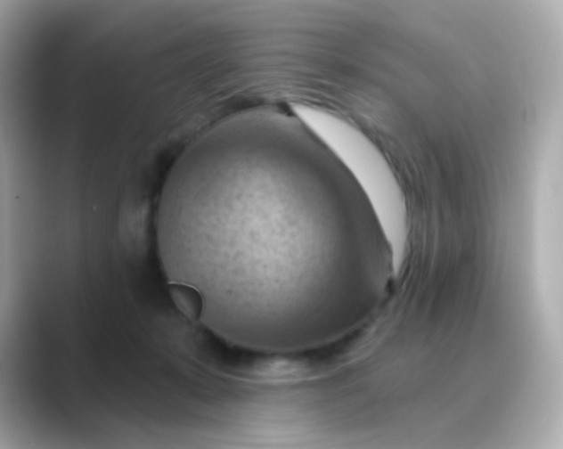 X0000088830319200706211819