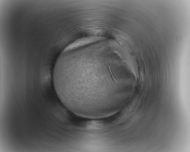 X0000088830320200706211819