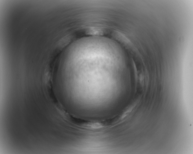 X0000088830322200706211819