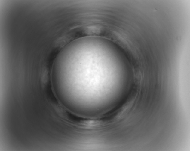 X0000088830323200706211819