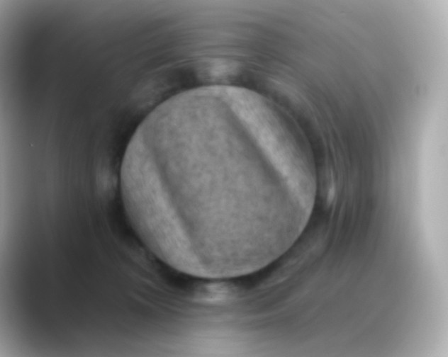 X0000088830324200706211819