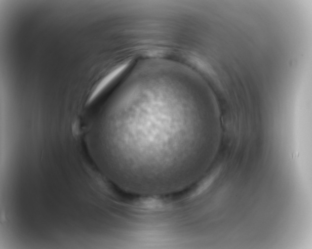 X0000088830325200706211819