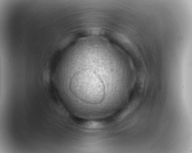 X0000088830326200706211819