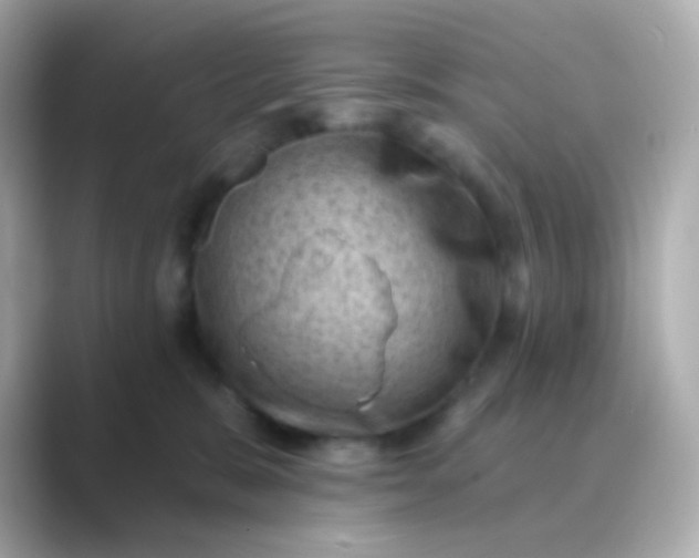 X0000088830327200706211819