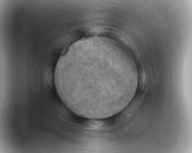 X0000088830328200706211819