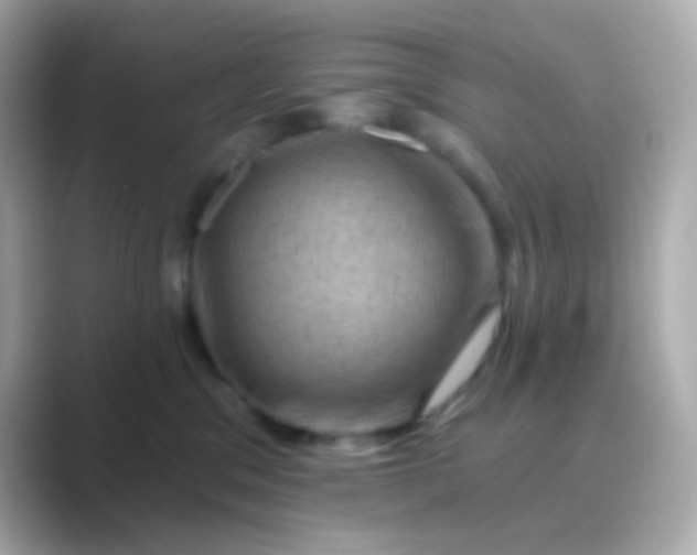 X0000088830329200706211819