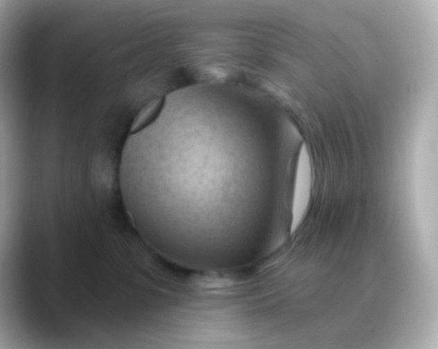 X0000088830331200706211819